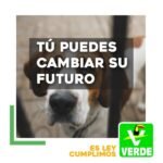 PARTIDO VERDE CUMPLE Y LE DICE ADIÓS AL BULLYING