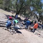 Primer Curso de Código Cerebro organizado por el IMSS, participan 27 profesores nacionales e internacionales