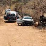 Sí viajarán los Gallos a la Leagues Cup
