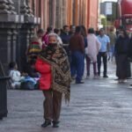Tráfico de especies se debe sancionar como delito penal, no administrativo: Raúl Bolaños Cacho