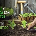 Preservando la naturaleza en Jalisco: un compromiso con el medio ambiente Movimiento Ciudadano